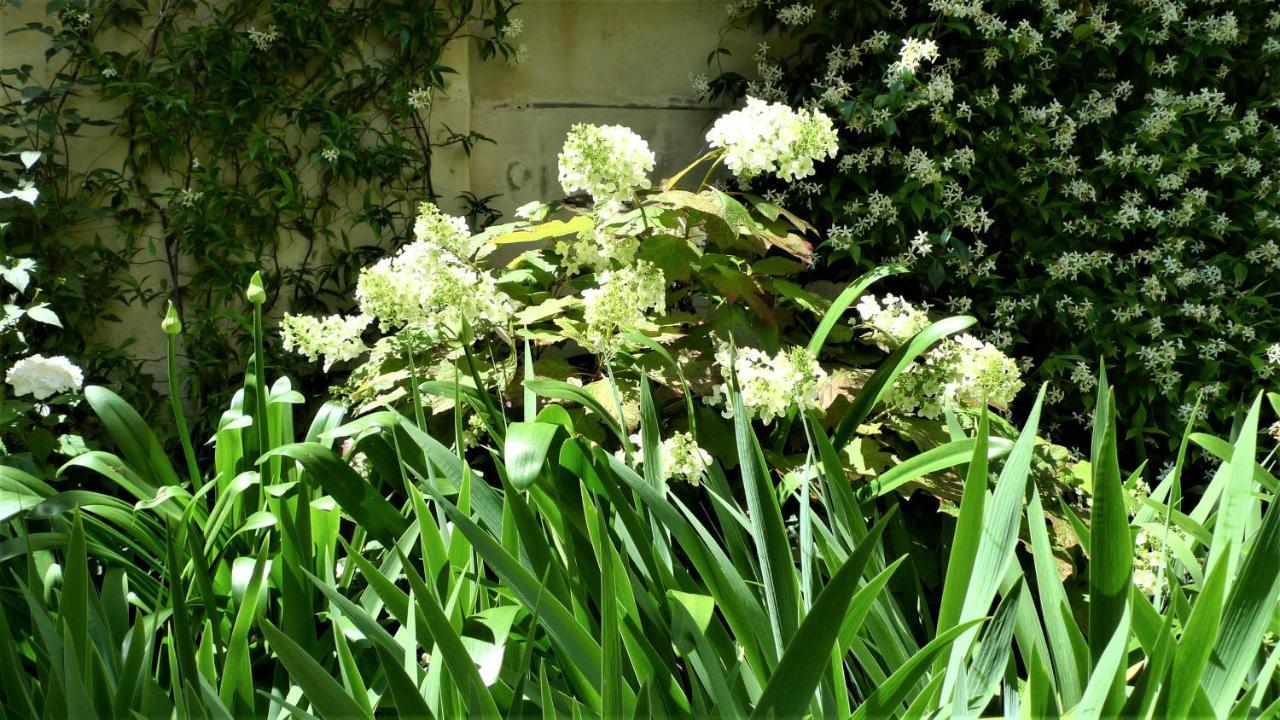 קאין Les Chambres De L'Abbaye מראה חיצוני תמונה